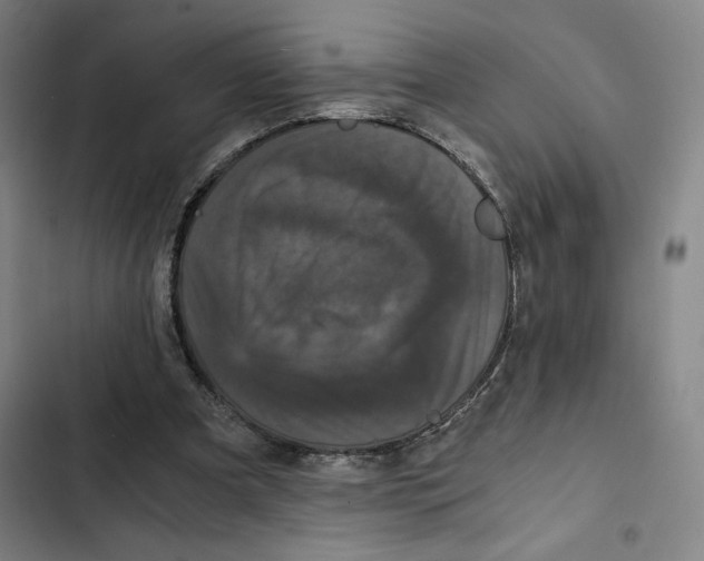 X0000102340297200808291144