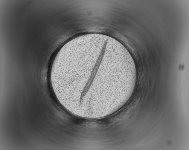 X0000102340299200808291144