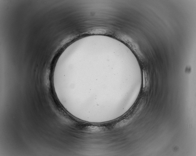 X0000102340300200808291144
