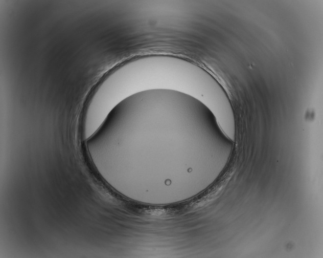 X0000102340301200808291144