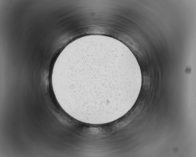 X0000102340302200808291144