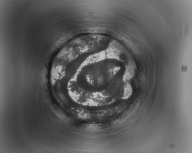 X0000102340303200808291144