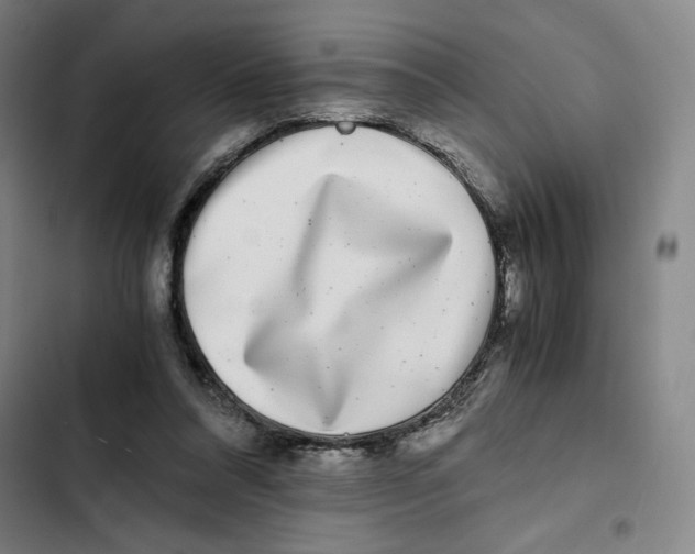 X0000102340304200808291144