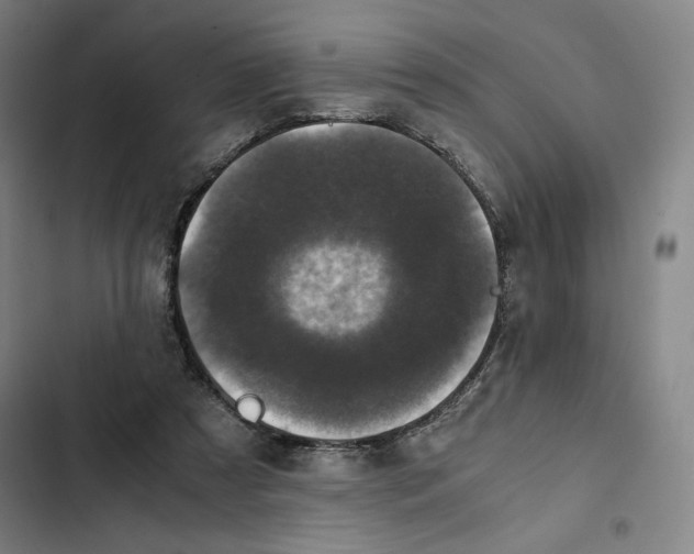 X0000102340305200808291144