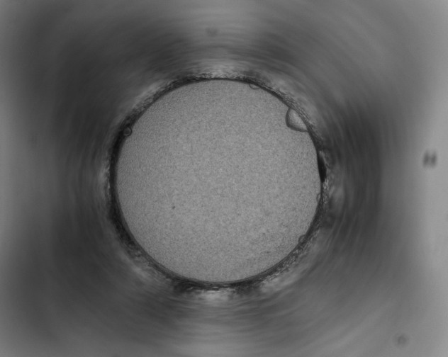 X0000102340306200808291144