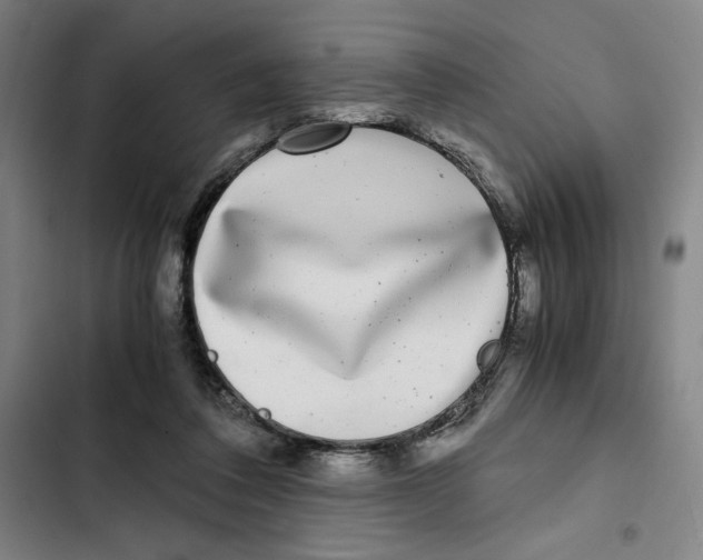 X0000102340308200808291144