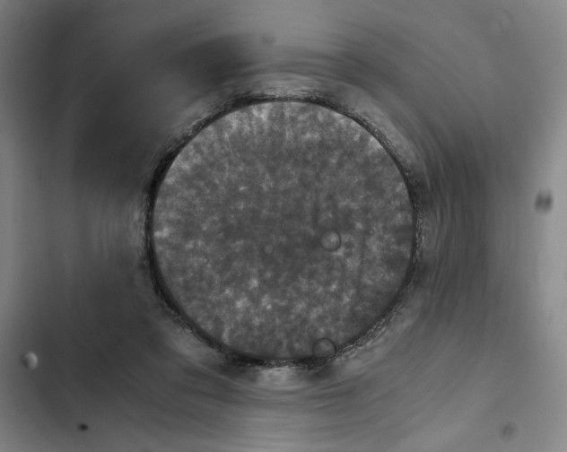 X0000102340309200808291144