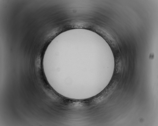 X0000102340310200808291144