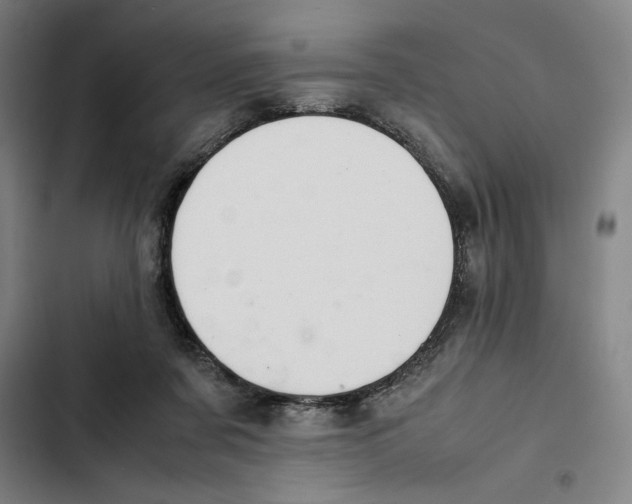 X0000102340311200808291144