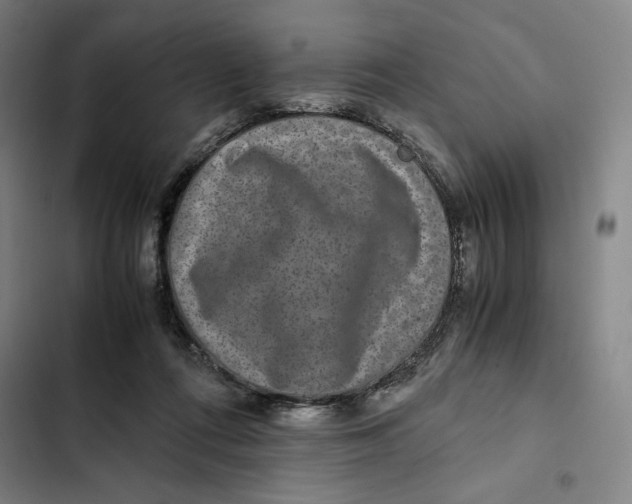 X0000102340312200808291143