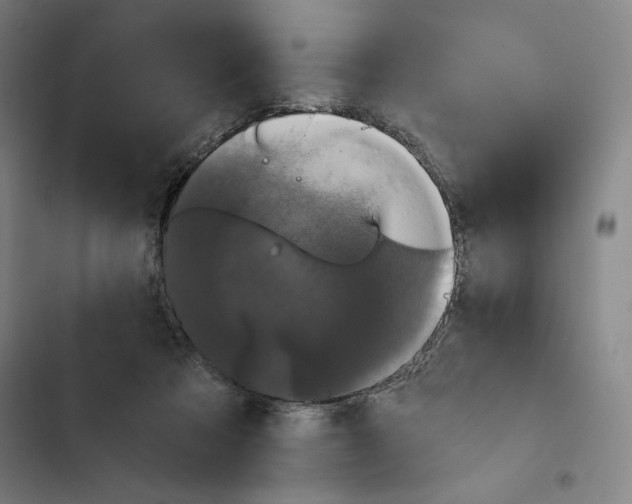 X0000102340313200808291143