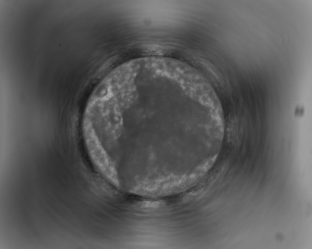 X0000102340314200808291143