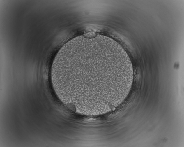 X0000102340315200808291143