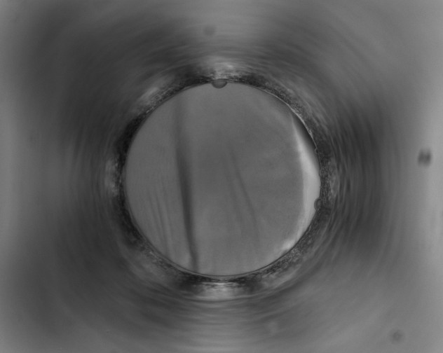 X0000102340316200808291143