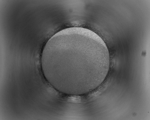 X0000102340317200808291143