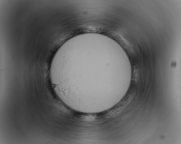 X0000102340318200808291143
