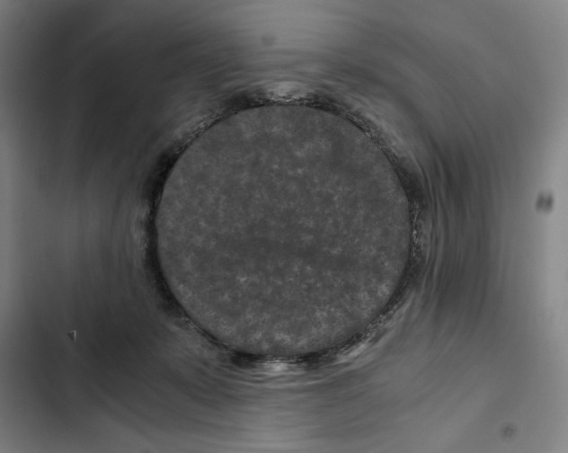X0000102340319200808291143