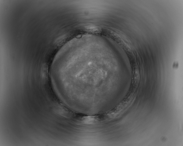 X0000102340320200808291143