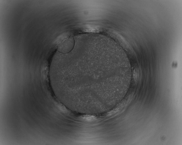 X0000102340322200808291143