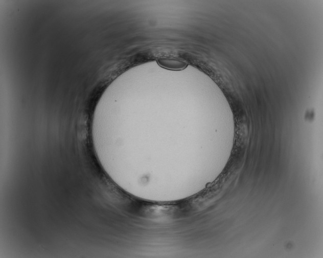 X0000102340323200808291143