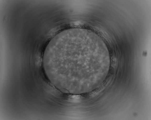 X0000102340324200808291143