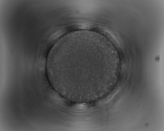 X0000102340325200808291143