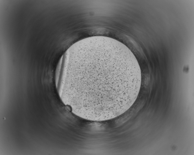 X0000102340326200808291143