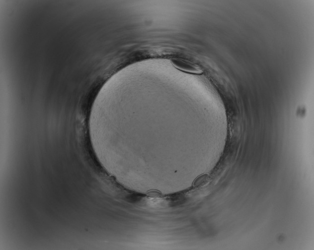 X0000102340327200808291143