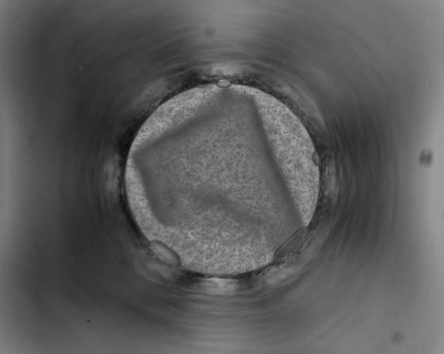 X0000102340328200808291143
