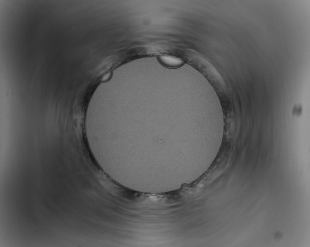 X0000102340329200808291143