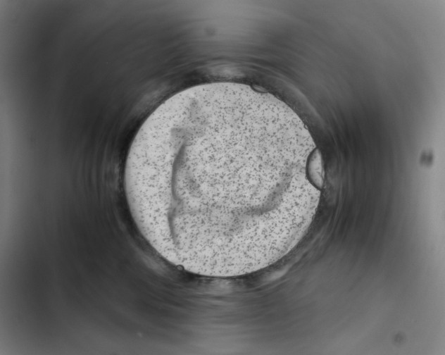 X0000102340330200808291143