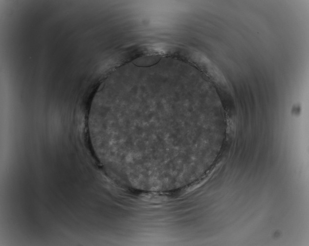 X0000102340331200808291143