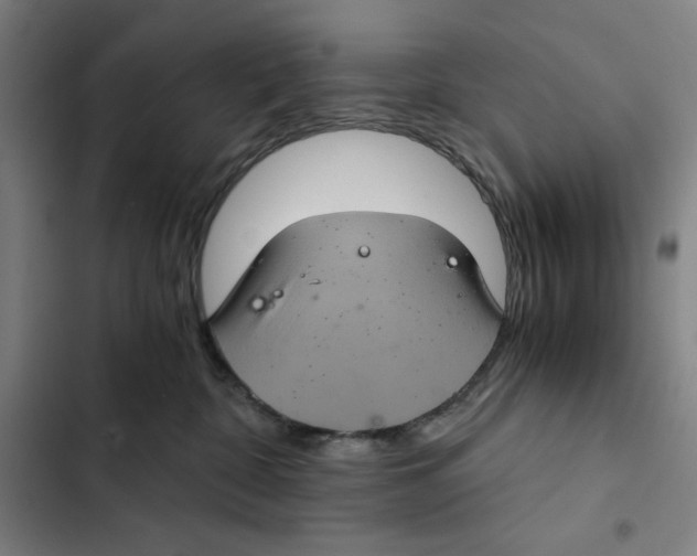 X0000102340332200808291143