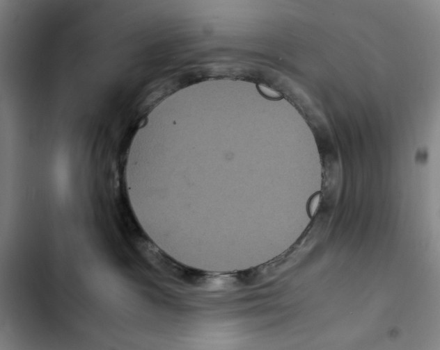 X0000102340333200808291143
