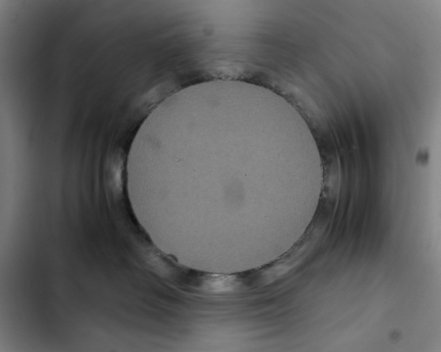 X0000102340334200808291143