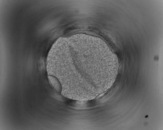 X0000102340335200808291143
