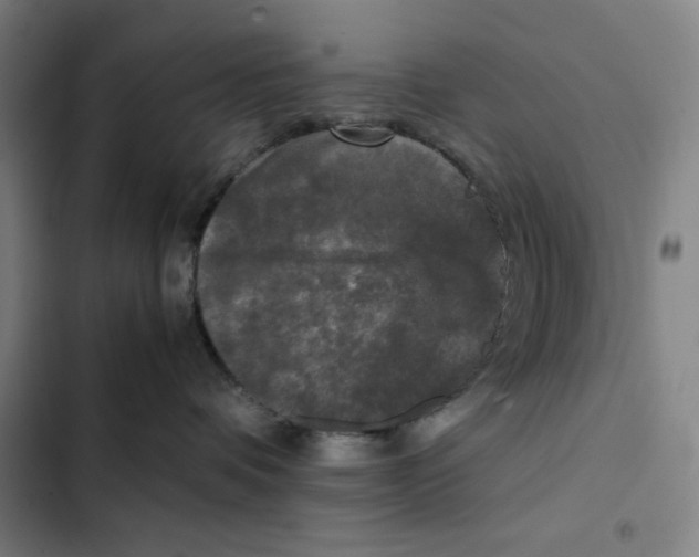 X0000102340336200808291143