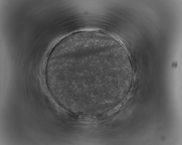X0000102340337200808291142
