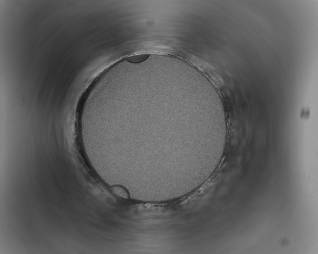 X0000102340338200808291142