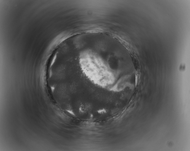 X0000102340339200808291142