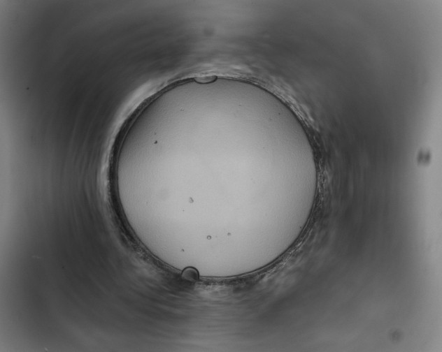 X0000102340340200808291142