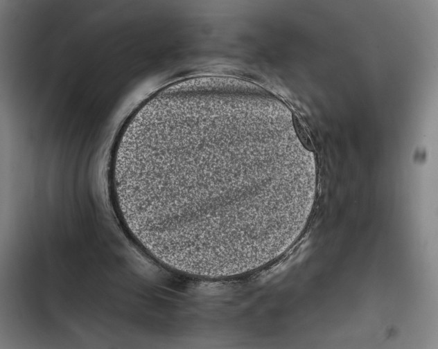 X0000102340341200808291142