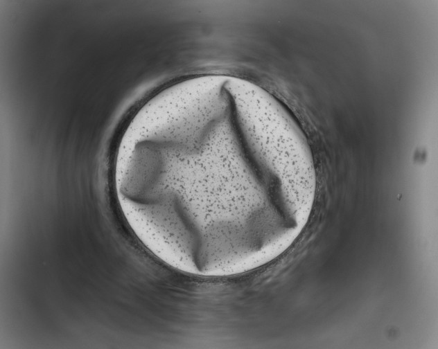 X0000102340342200808291142