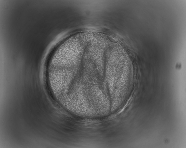 X0000102340343200808291142