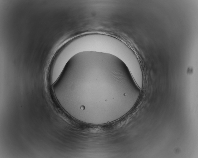 X0000102340344200808291142