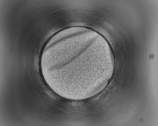 X0000102340345200808291142