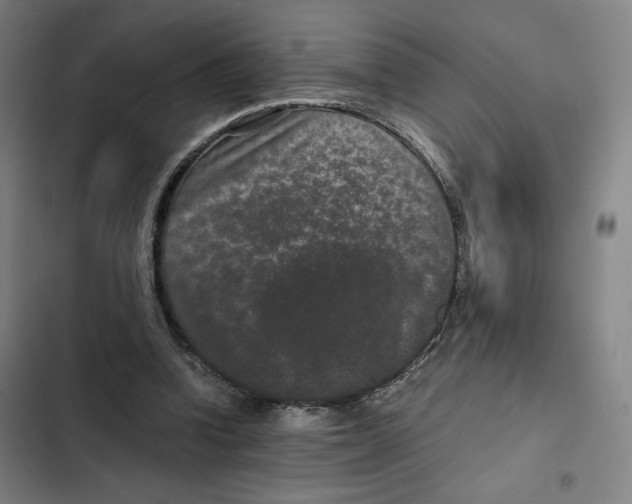 X0000102340346200808291142