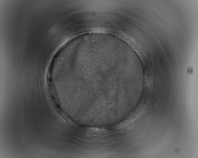 X0000102340347200808291142