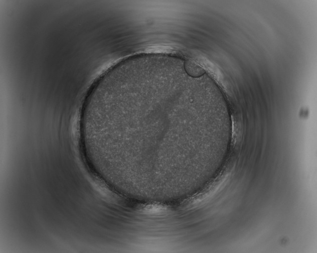 X0000102340348200808291142