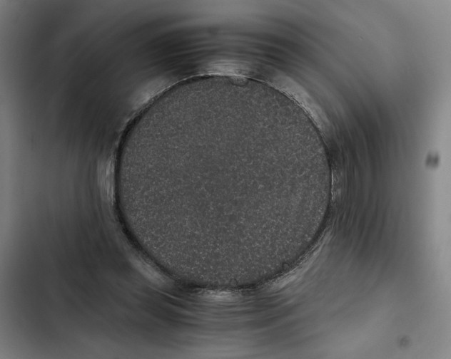 X0000102340349200808291142